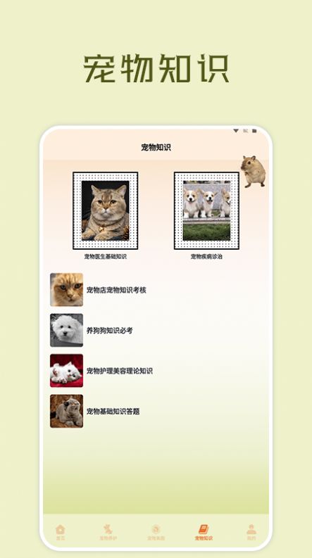 宠物小组件盒子app图1
