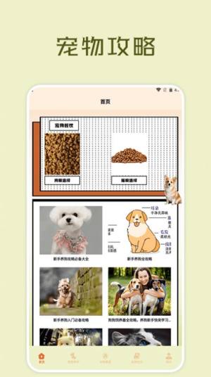 宠物小组件盒子app图2