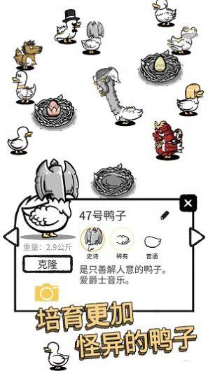 奇怪的鸭子2游戏安卓版图片1