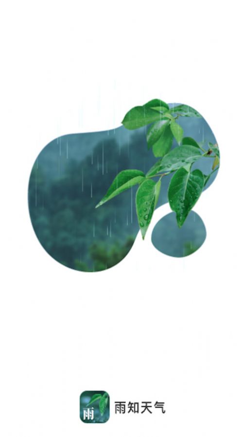 雨知天气app图1