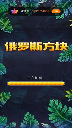俄罗斯消除大神游戏手机版下载图片1