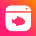 鱼鱼末盒app软件 v1.0