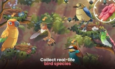 鸟类世界游戏中文版（Bird kind）图片1
