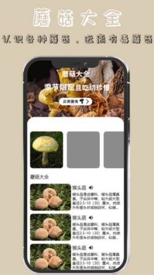 蘑菇识别高手app图1