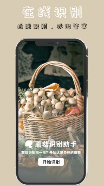 蘑菇识别高手app手机版图片1