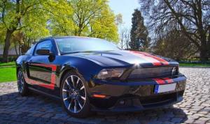 野马赛车模拟器官方下载手机版图片1