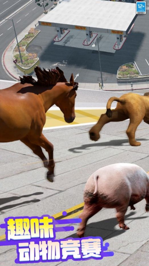 超级动物竞速游戏官方版下载图片2