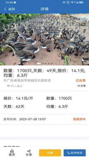 鹅先生app手机版图片1