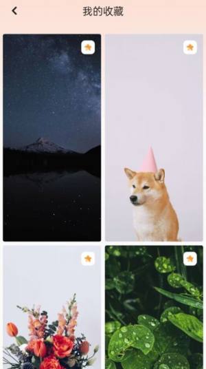 天天换壁纸app软件图片1