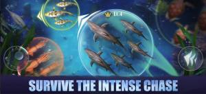 鳞光海域游戏安卓版下载图片1