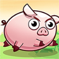 救救这只猪ios苹果免费版 v1.0.0.1