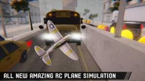自由飞行模拟3D游戏图3