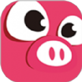 汇小猪app官方版 v1.0.4