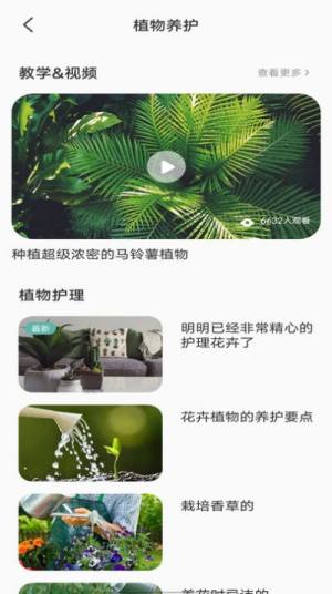 拍照识别植物弛意版app图3