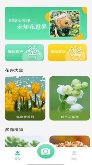 拍照识别植物弛意版app手机版图片1