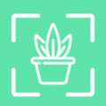 拍照识别植物弛意版app手机版 v1.0.0