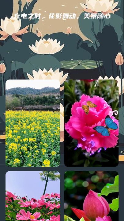 花影充电app官方版图片1