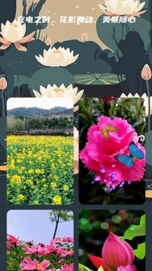 花影充电app官方版图片1