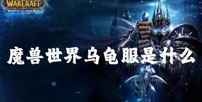 魔兽世界乌龟服什么意思  wow乌龟服介绍[多图]图片1