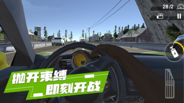 山脊驾驶模拟游戏图2