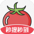 番茄畅看app官方 v1.10.54