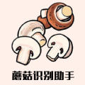 蘑菇识别助手app官方版 v1.1