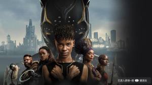 大鹏影院app官方图片1