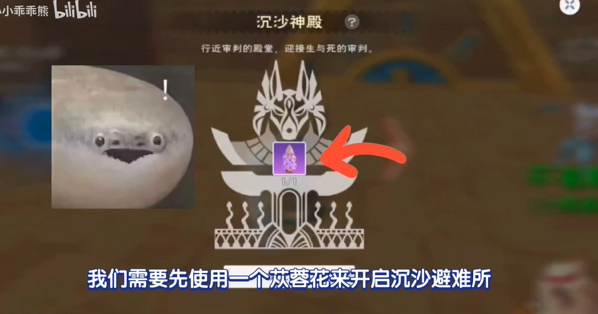 创造与魔法圣甲虫坐骑怎么获得  极品圣甲虫坐骑获取攻略[多图]