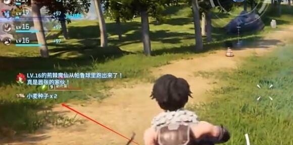 幻兽帕鲁小麦种子怎么获得  小麦种子获取购买攻略[多图]图片1