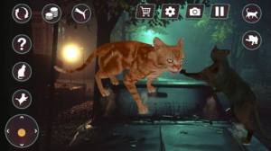 猫咪格斗战争模拟器游戏图2