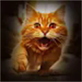 猫咪格斗战争模拟器游戏官方正式版 v1.0