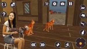 猫咪格斗战争模拟器游戏图3