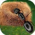 蚂蚁打不过游戏官方安卓版 v1.0.0