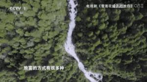 过客tv电视软件下载官方版图片5