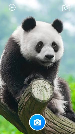 糯米助手软件下载安装图片2