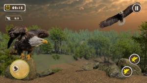 宠物美国鹰生活模拟3D游戏图1