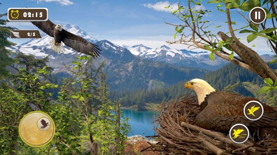宠物美国鹰生活模拟3D游戏图2