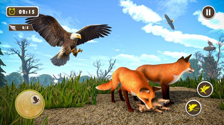 宠物美国鹰生活模拟3D游戏图3