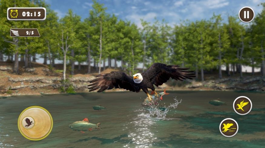 宠物美国鹰生活模拟3D游戏手机版下载图片1