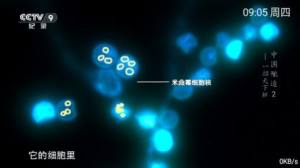 小乐TV app安卓版图片1