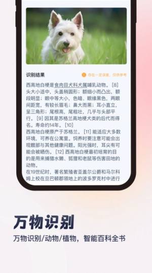 墨茉扫描app手机版图片2