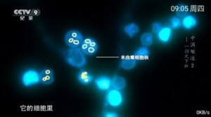 小乐TV app安卓版图片5