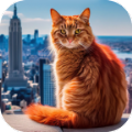 猫咪历险记大都市游戏手机版下载 v1.1