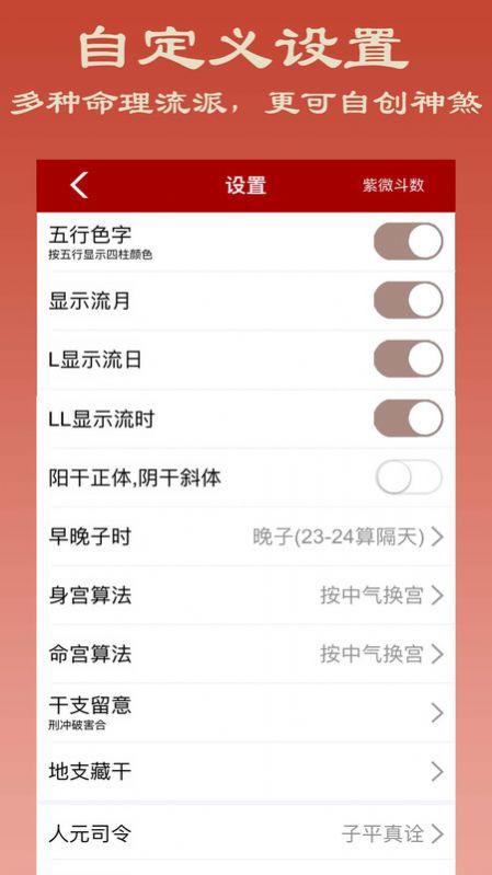 大师紫微斗数app图2