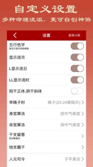 大师紫微斗数app手机版图片2