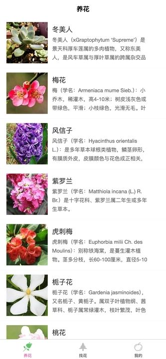 梦幻绿植软件图1