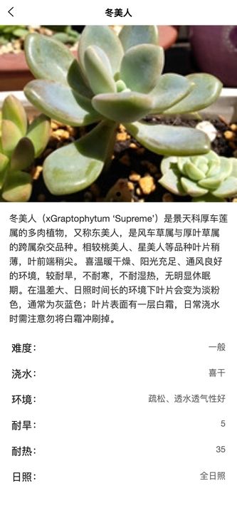 梦幻绿植app手机版图片1