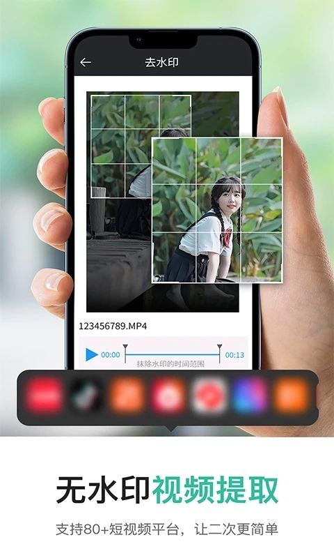 短视频一键提取软件图3