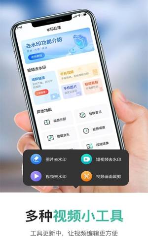 短视频一键提取软件图2