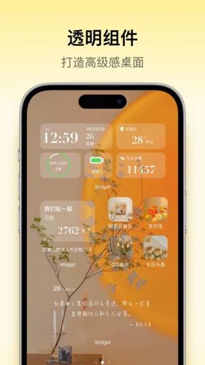 桌面主题Colorful Widget小组件app下载苹果版图片1